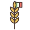 Grano italiano